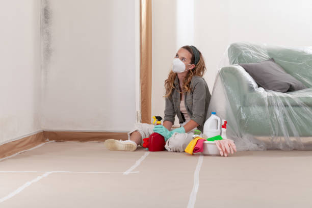 Reliable Basement Mold Remediation contractor in Youngsville, PA by WQB Mold Removal